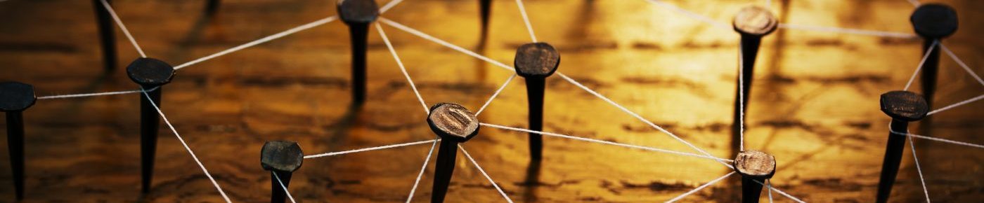 Helen S. Lee – Freelance Survey Consultant & Data Analyst